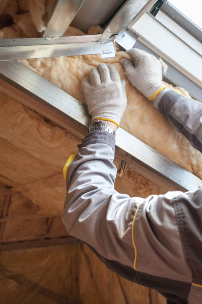 Best Spray Foam Insulation  in Coolidge, AZ