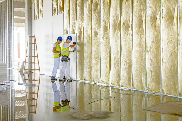 Best Energy-efficient Insulation  in Coolidge, AZ